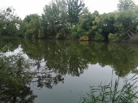 Wasserturmteich Leisenau-1