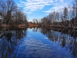 Wasserturmteich Leisenau