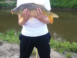 Main-Donau-Kanal (Möhrendorf)-1