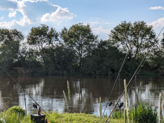 Aller (Dannenbüttel)