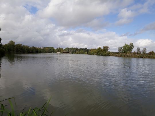 Étangs de Jonchery