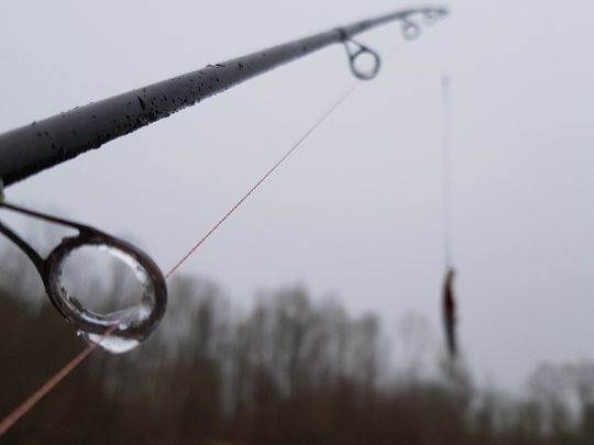 Goßer Hechtweiher (Freirachdorf)-1