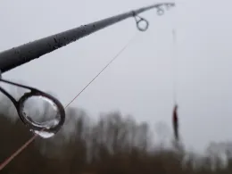 Goßer Hechtweiher (Freirachdorf)-1