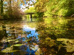 Leine (Hannover-Wülfel)-1