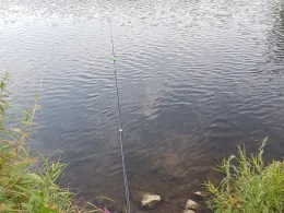 Leine (Hannover-Wülfel)-2