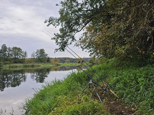 Naab (Burglengenfeld)-2