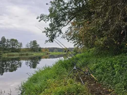 Naab (Burglengenfeld)-2