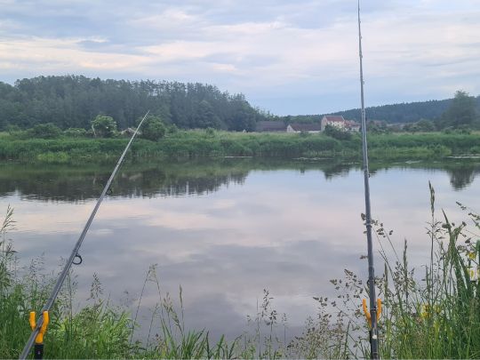 Naab (Burglengenfeld)-1