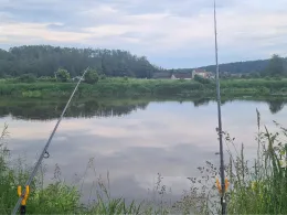 Naab (Burglengenfeld)-1