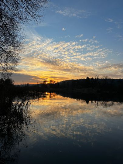 Naab (Burglengenfeld)-4