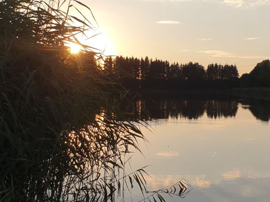Beuthenteich angeln