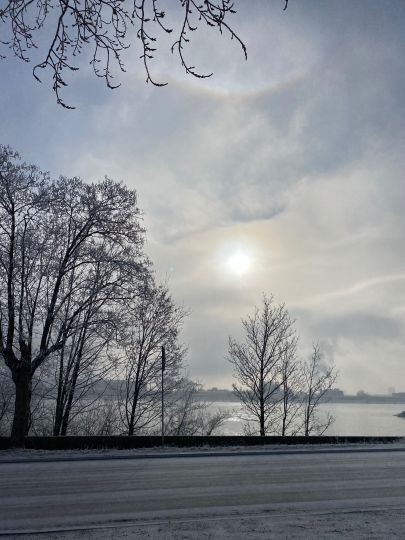L'Avant-Port de Strasbourg-3