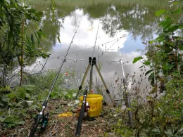 Feuerwehrteich Gütz (Landsberg)