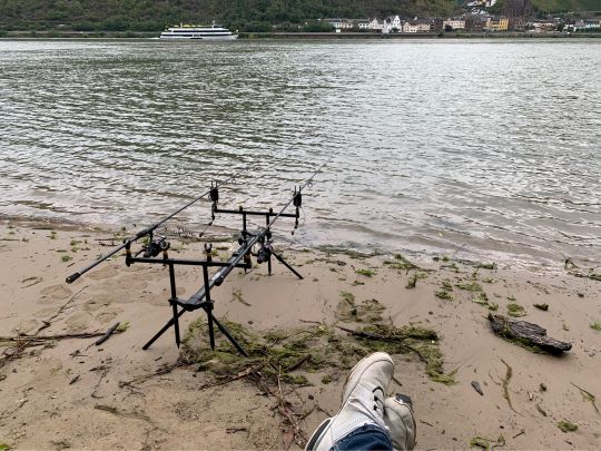 Rhein (Rheindiebach-Bacharach)-1