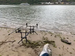 Rhein (Rheindiebach-Bacharach)-1