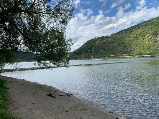 Rhein (Rheindiebach-Bacharach)-4