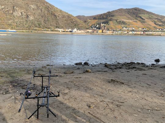 Rhein (Rheindiebach-Bacharach)-3