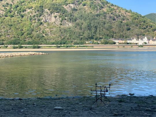 Rhein (Rheindiebach-Bacharach)-2