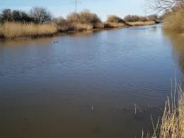 Marschensee (Langen)-1