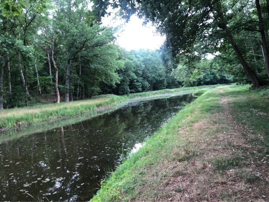 Teichanlage Luttmersen-1