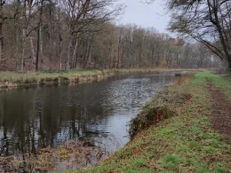 Teichanlage Luttmersen-2