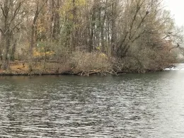 Neuer Teich (Wolfsburg)-3