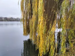 Neuer Teich (Wolfsburg)-2