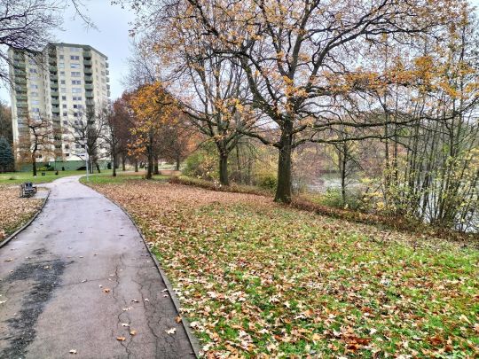Neuer Teich (Wolfsburg) ALLE ANGELN