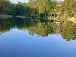 Waldsee (Berlin-Hermsdorf)-1