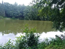 Reinhartshofer Weiher