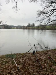 Reinhartshofer Weiher-3