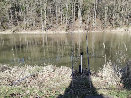 Reinhartshofer Weiher-1