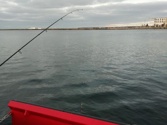 Seekanal Warnemünde-4