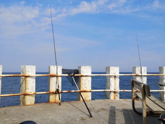 Kattegat (Bønnerup)-0
