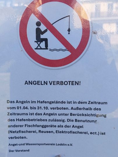 Ostsee (Usedom-Ückeritz)-4