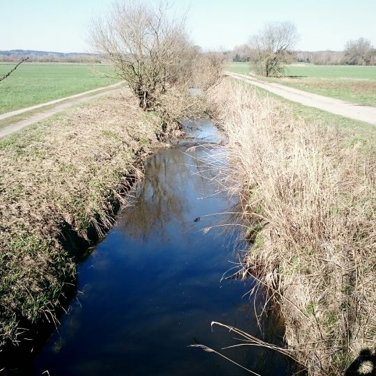 Moosbach (Högling)-4