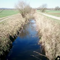 Moosbach (Högling)-4