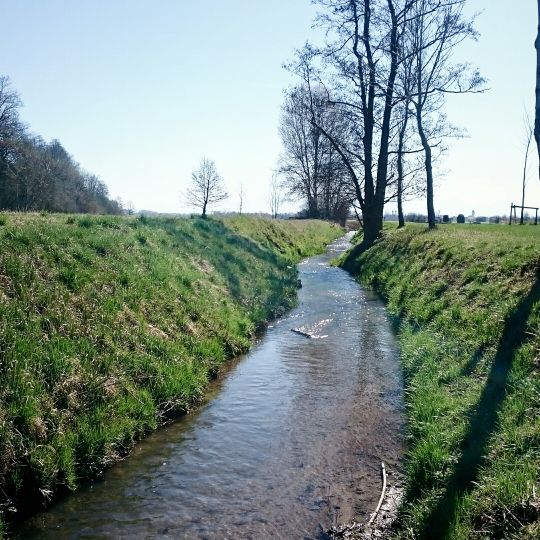 Moosbach (Högling)-2