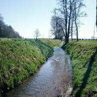 Moosbach (Högling)-2