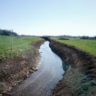 Moosbach (Högling)-1