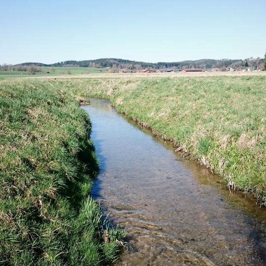 Moosbach (Högling)