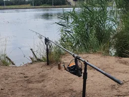 Main (Hochheim am Main)-1