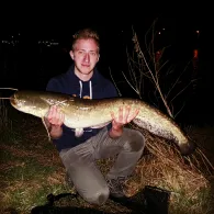 Main (Hochheim am Main)