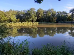 Hamberger See (Gündelbach)