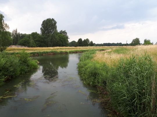 Spree (Schmogrow-Fehrow)-2