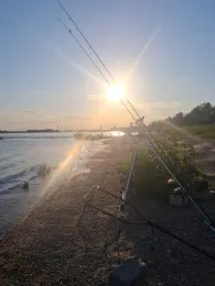 Rhein (Emmerich am Rhein)-3