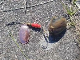 Audorfer See (Schacht-Audorf)