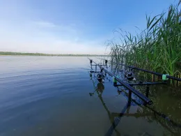Harthsee (Neukirchen)-3