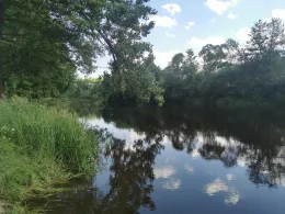 Schwarzer Regen (Viechtach)-1