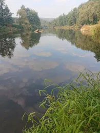 Schwarzer Regen (Viechtach)